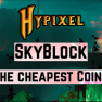 Hypixel Skyblock Coins + Cover Fee [0.49$ per 10m] [1B = 50$] - image